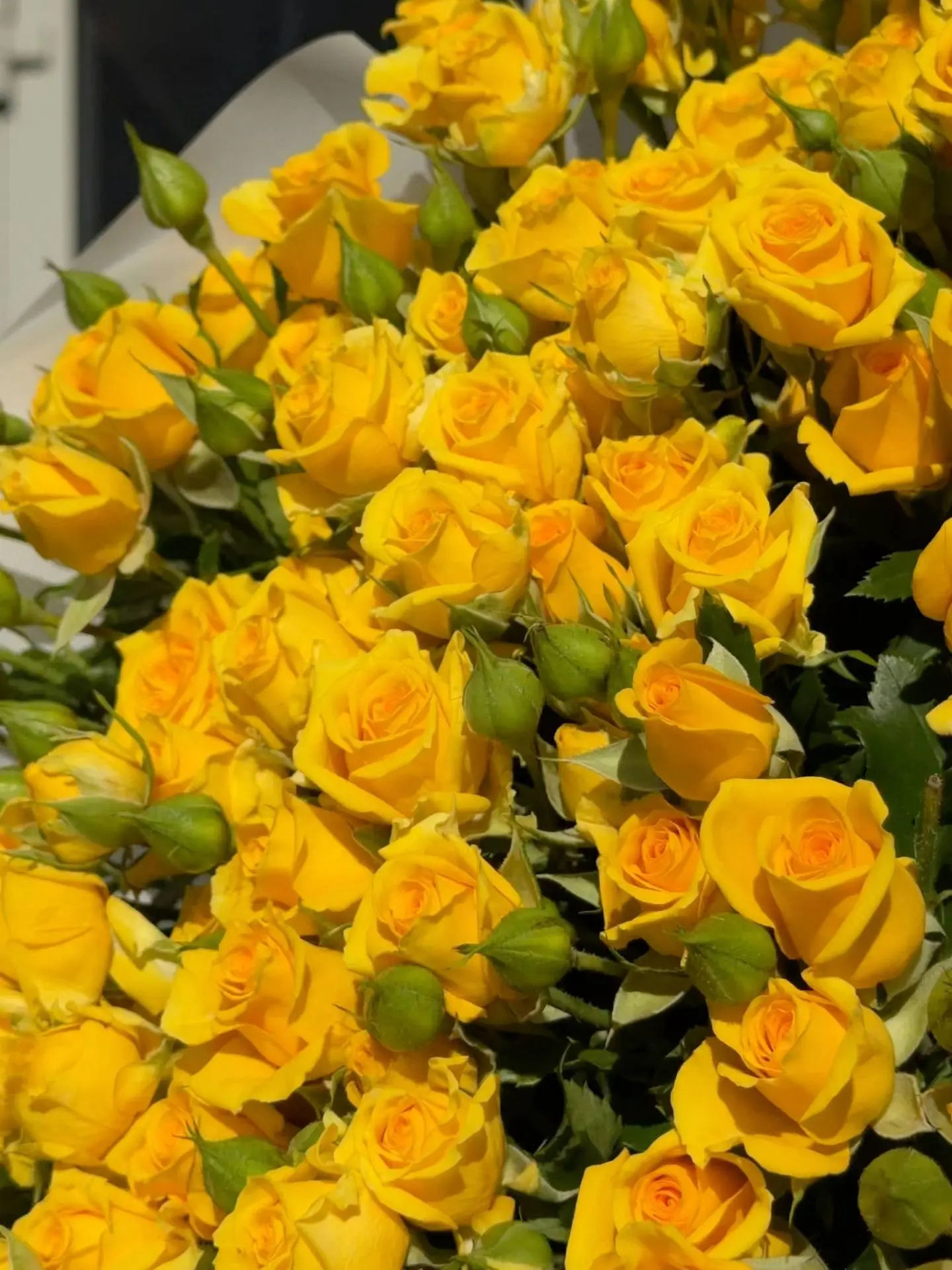💛 Солнечное настроение в каждом бутоне! 🌼