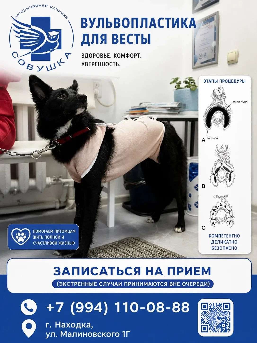 «Пластика для собаки?!» Да, и такое бывает в нашей «Совушке» 🐶✨
