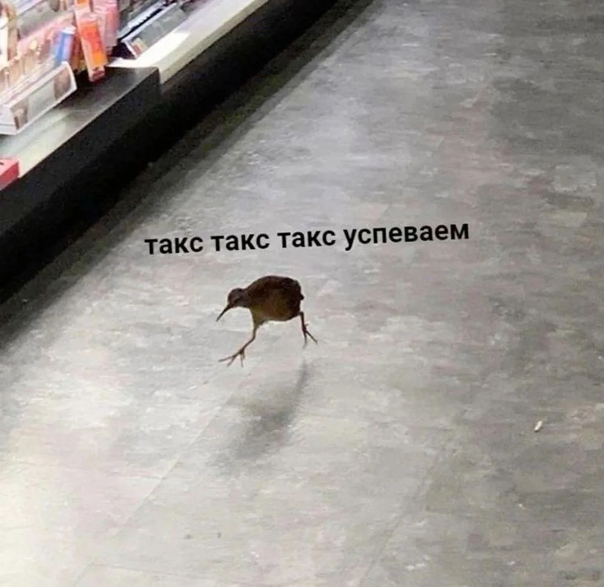Приложение Мах: что нового?