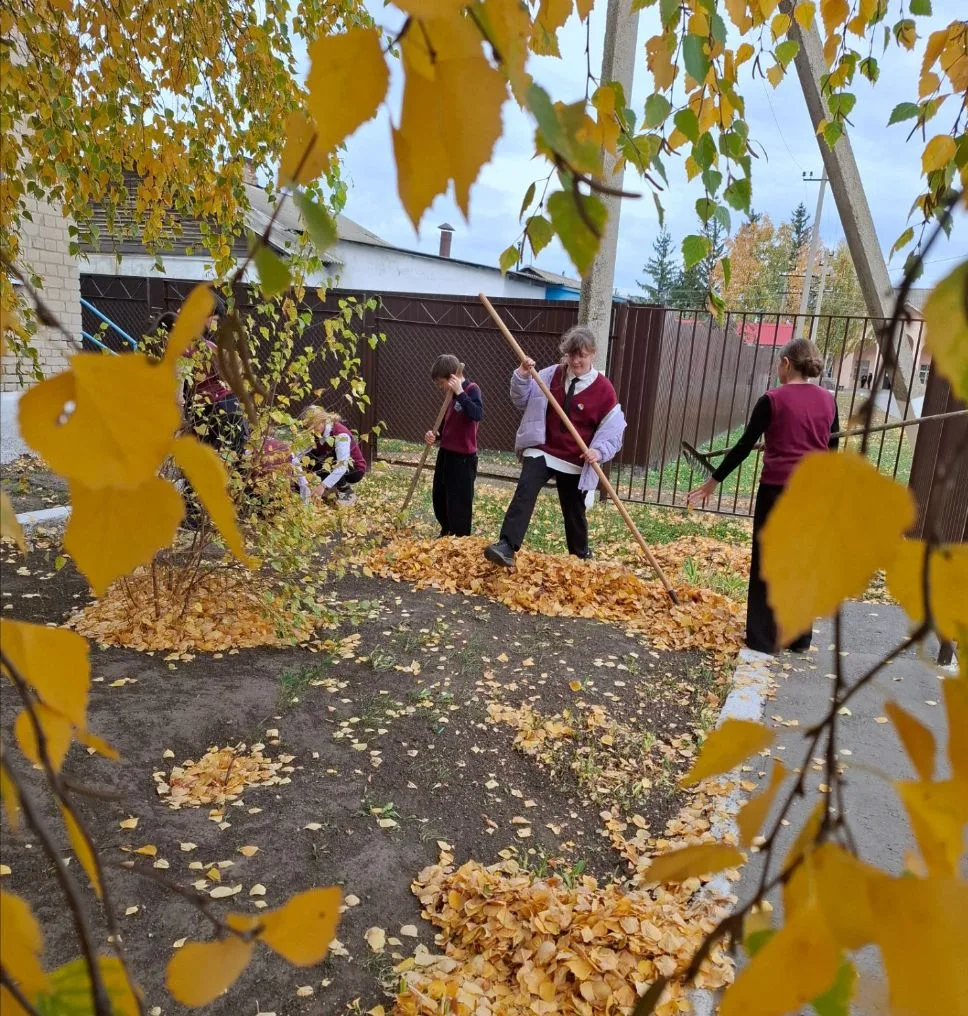 🍂 Золотая осень — время наводить порядок!