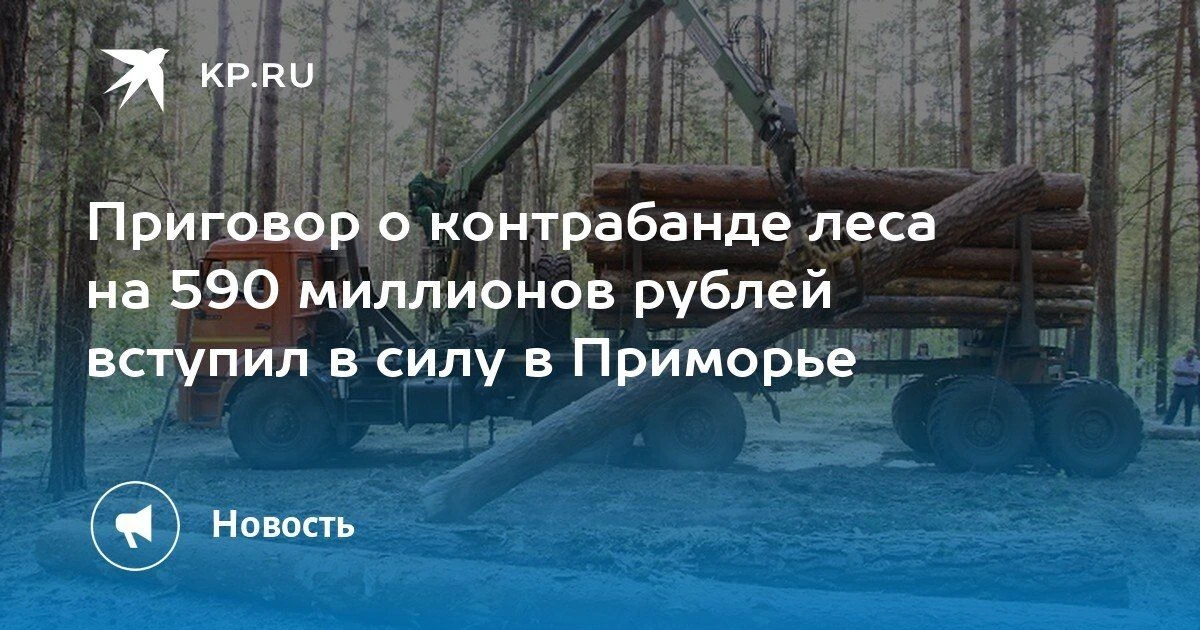 Приговор по делу о контрабанде леса в Приморье: 590 миллионов рублей