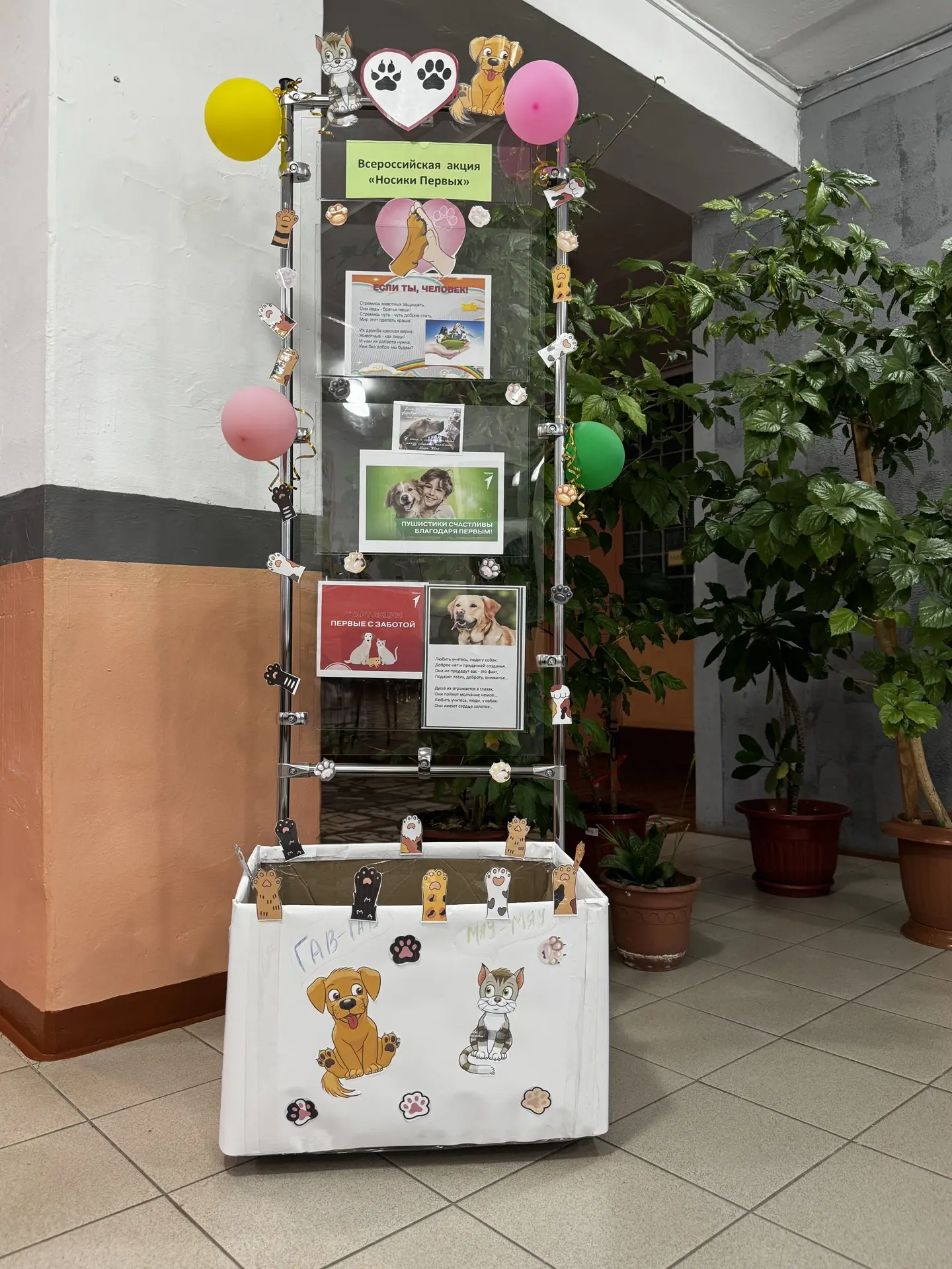 Внимание, важная новость! 🐾