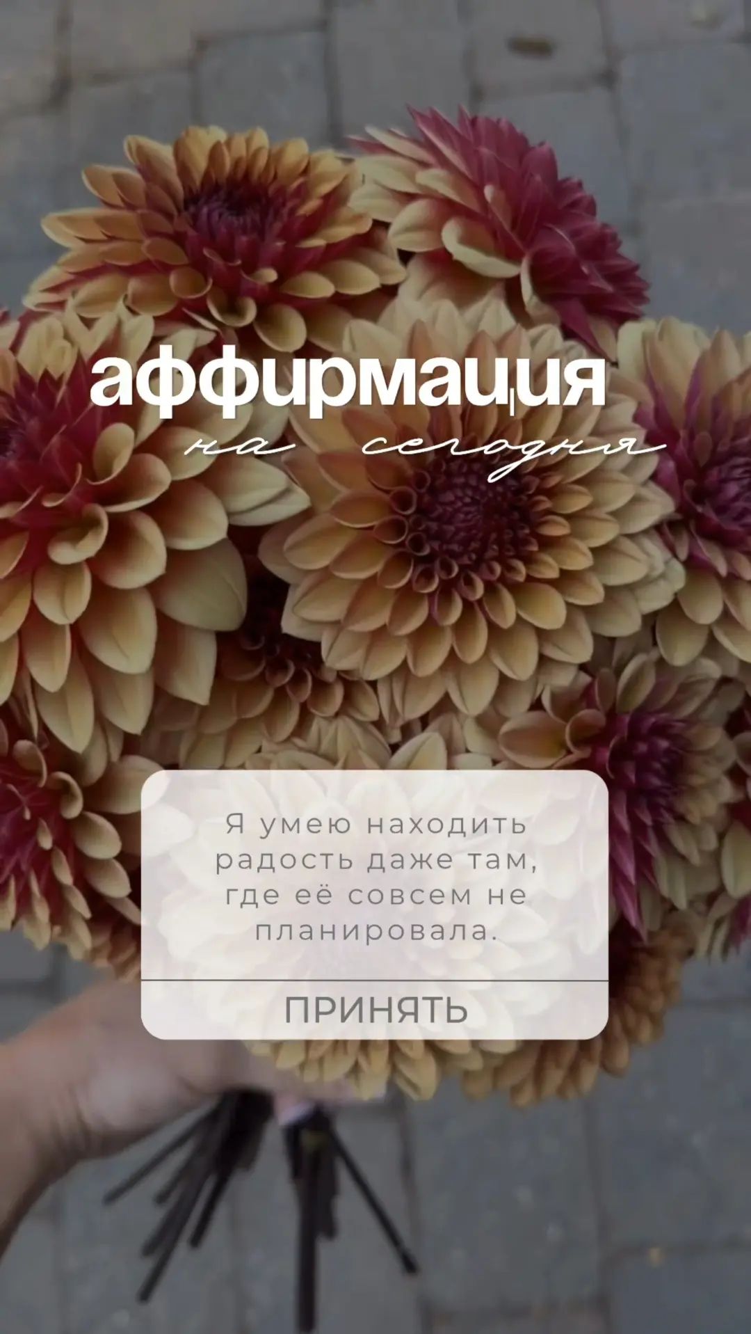 Я умею находить радость даже там, где её совсем не планировала.