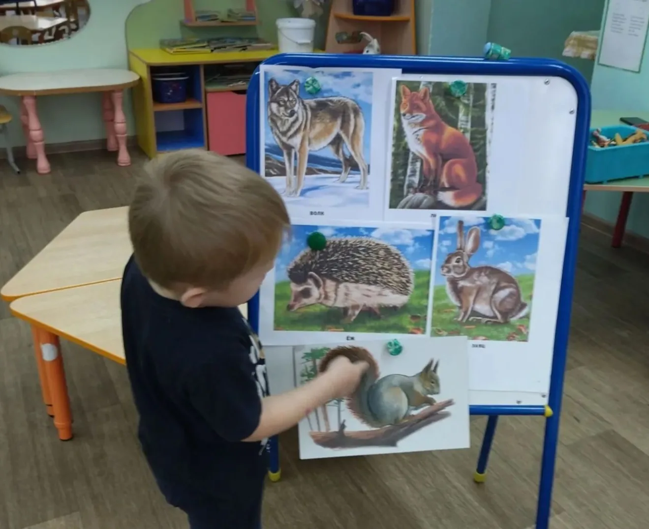 🐻🦊Жизнь диких животных: знакомимся с малышами! 🐻🦊