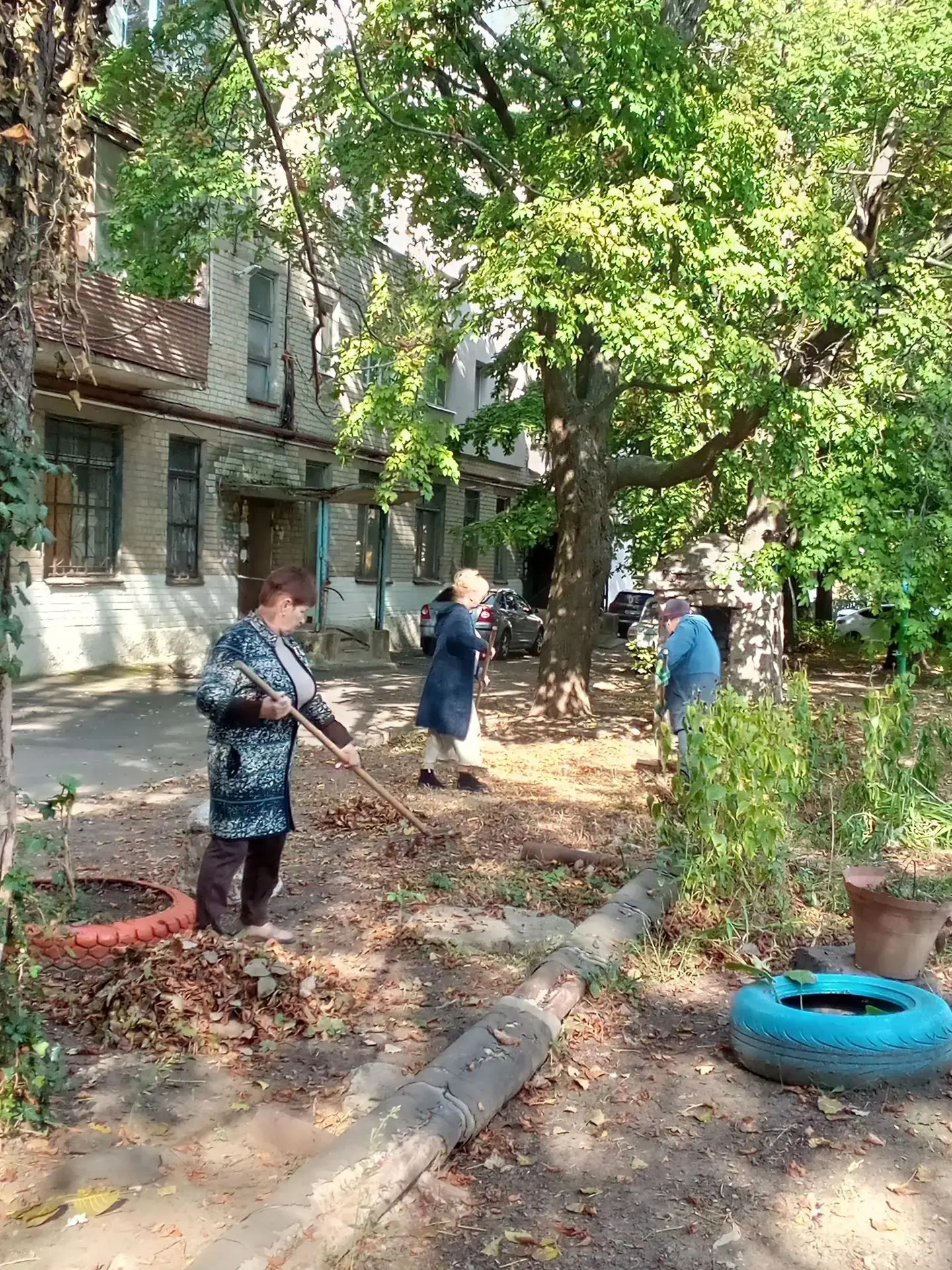 🌿 Специалисты «Центра организации общественного самоуправления» Петровского внутригоро...