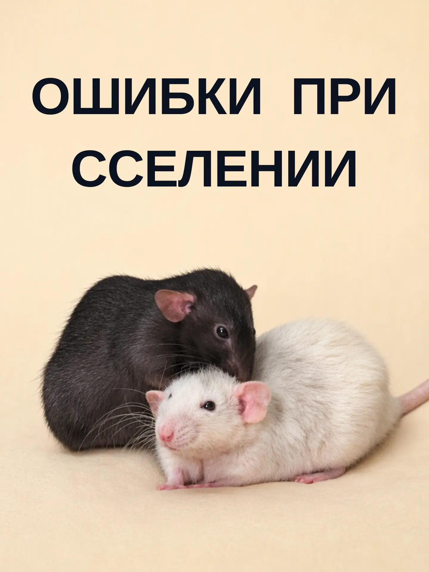 Типичные ошибки при сселении: