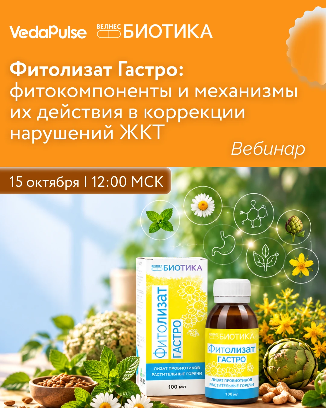 🌿 8 растительных экстрактов - одна формула: в чём особенность «Фитолизат Гастро»?