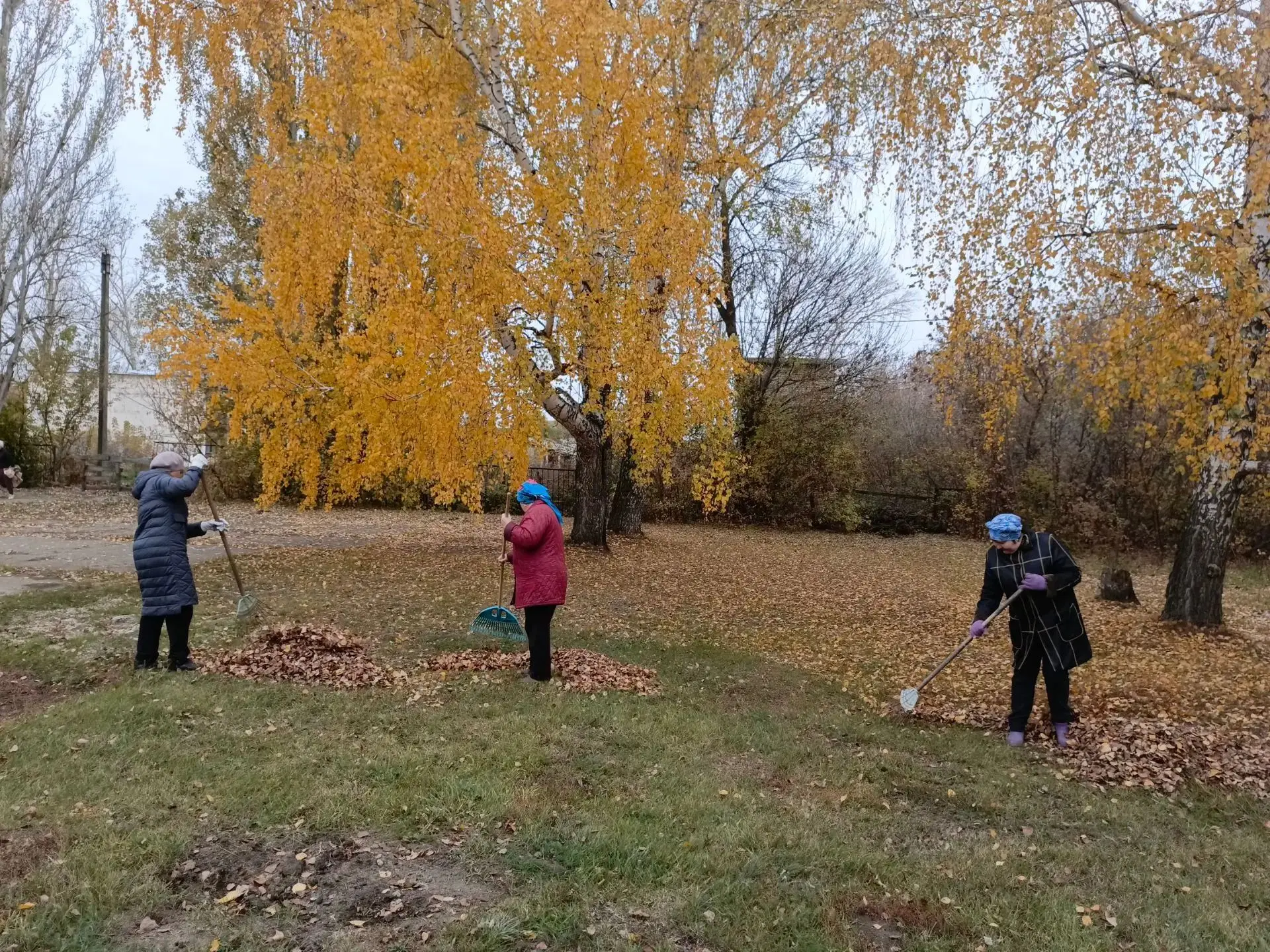 🍁🍂🍁Субботник в детском саду: как это было!