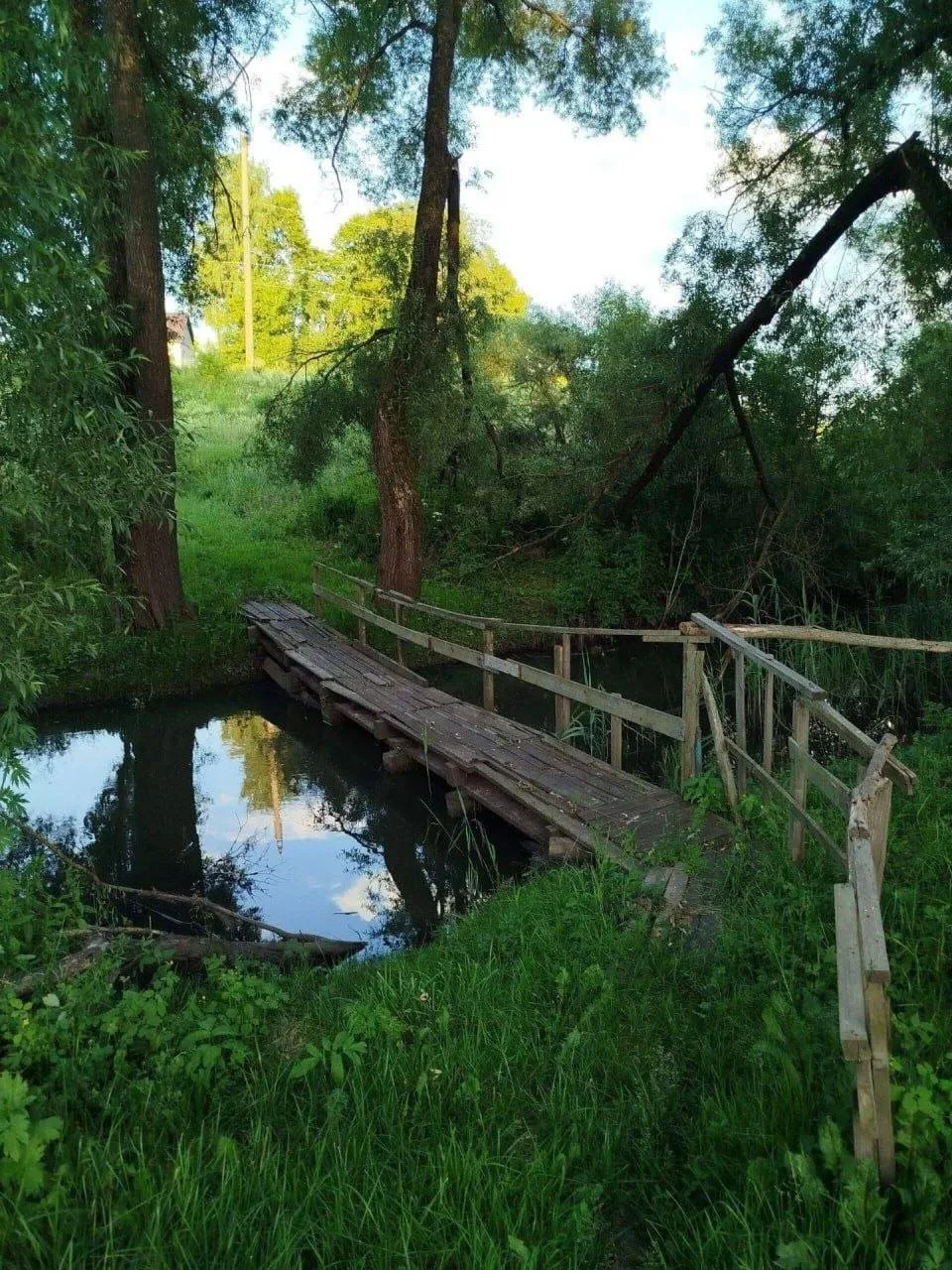 🏞️Шикарные пейзажи в деревне Стаево Брянского района