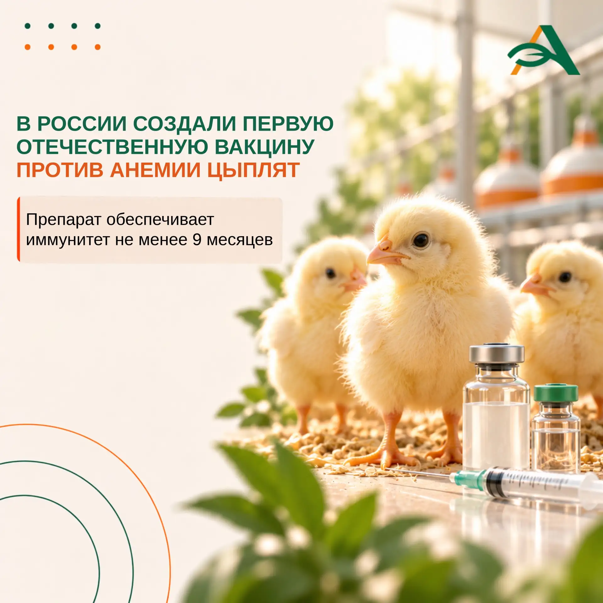 ❗Первую отечественную вакцину от инфекционной анемии цыплят создали в РФ