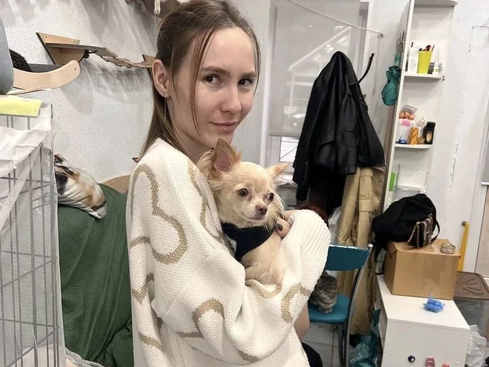 😳 В Мурино около 80 человек захотели забрать чихуахуа из приюта