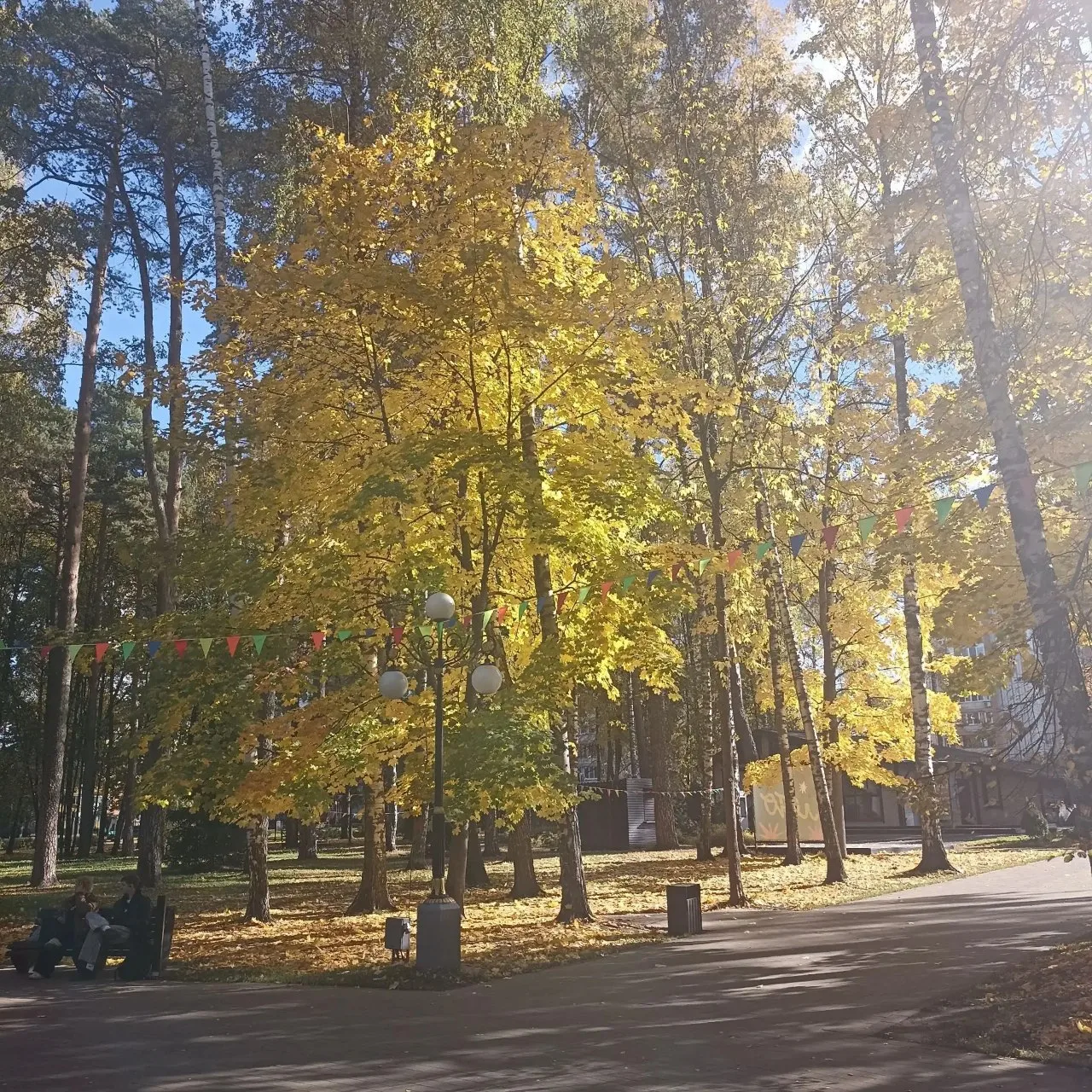 От сообщества: приятного вечера, друзья, и спасибо нашему подписчику за фото☀️☀️