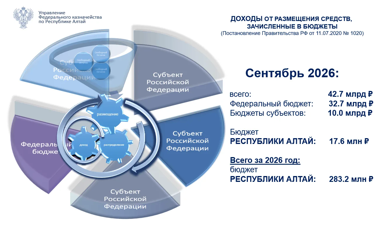 Федеральное казначейство в соответствии с Постановлением Правительства Российской Федер...