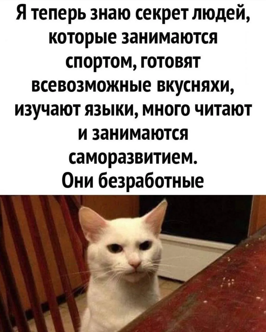 Юмор - Подписаться