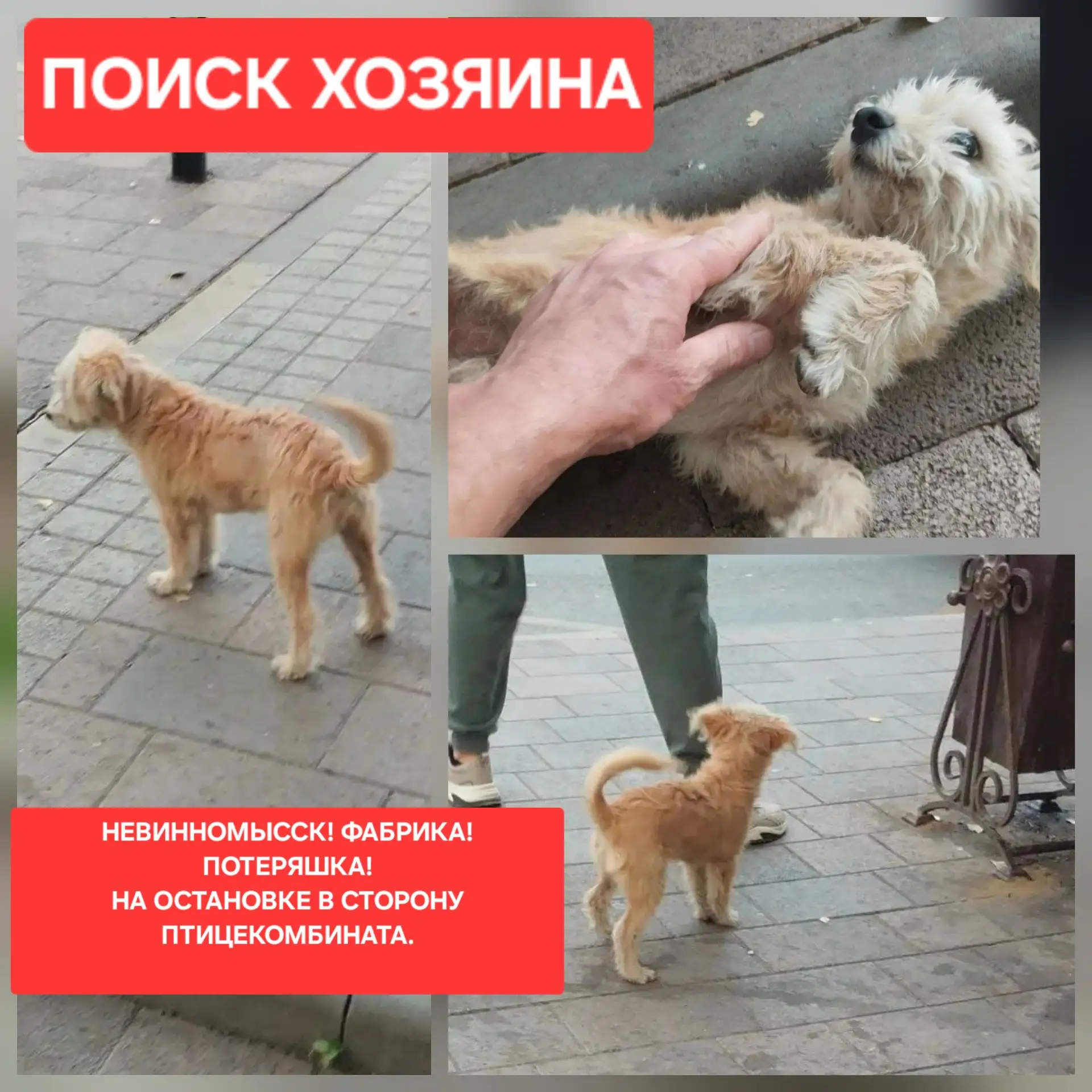 👉 NSK 26 | Невинномысск