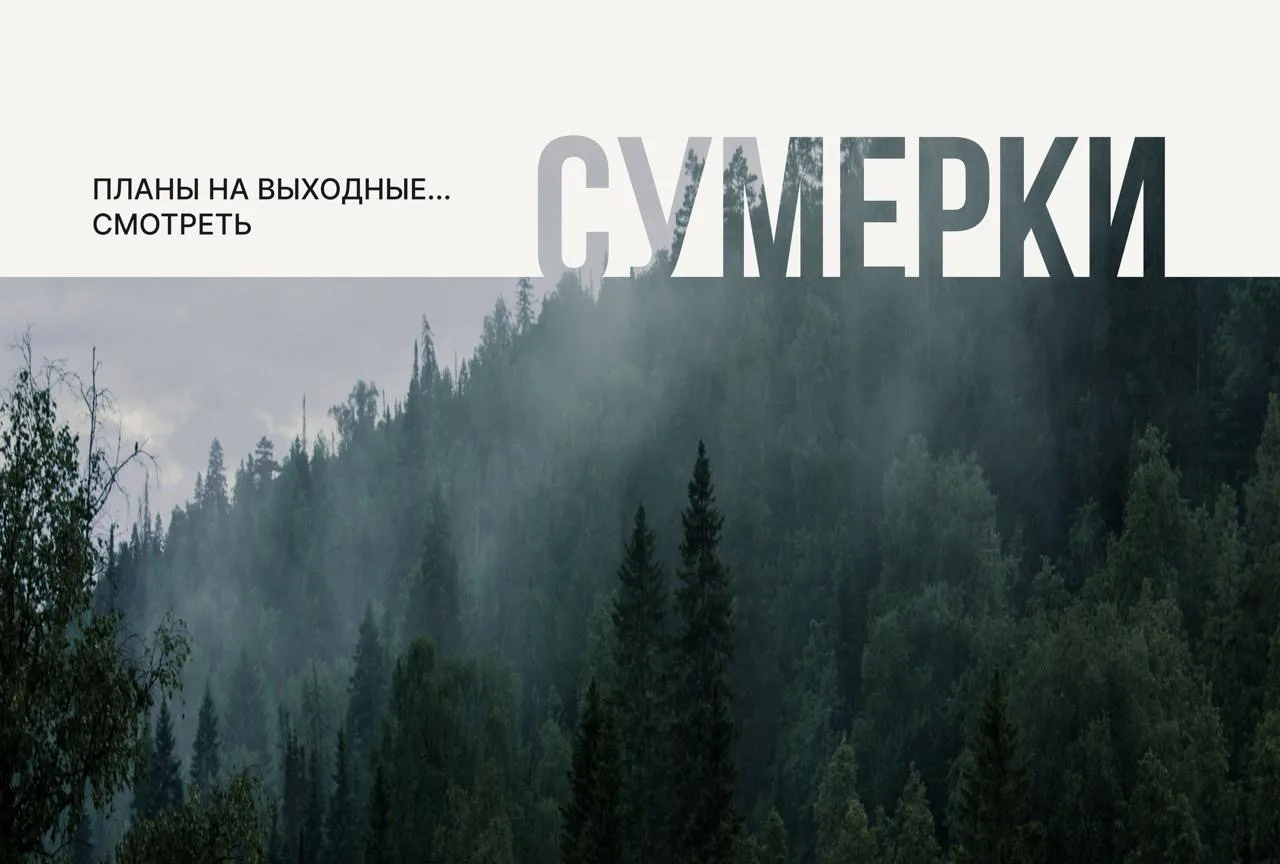 Планы на выходные: пересмотреть «Сумерки» и… проверить, изменились ли симпатии 🖤