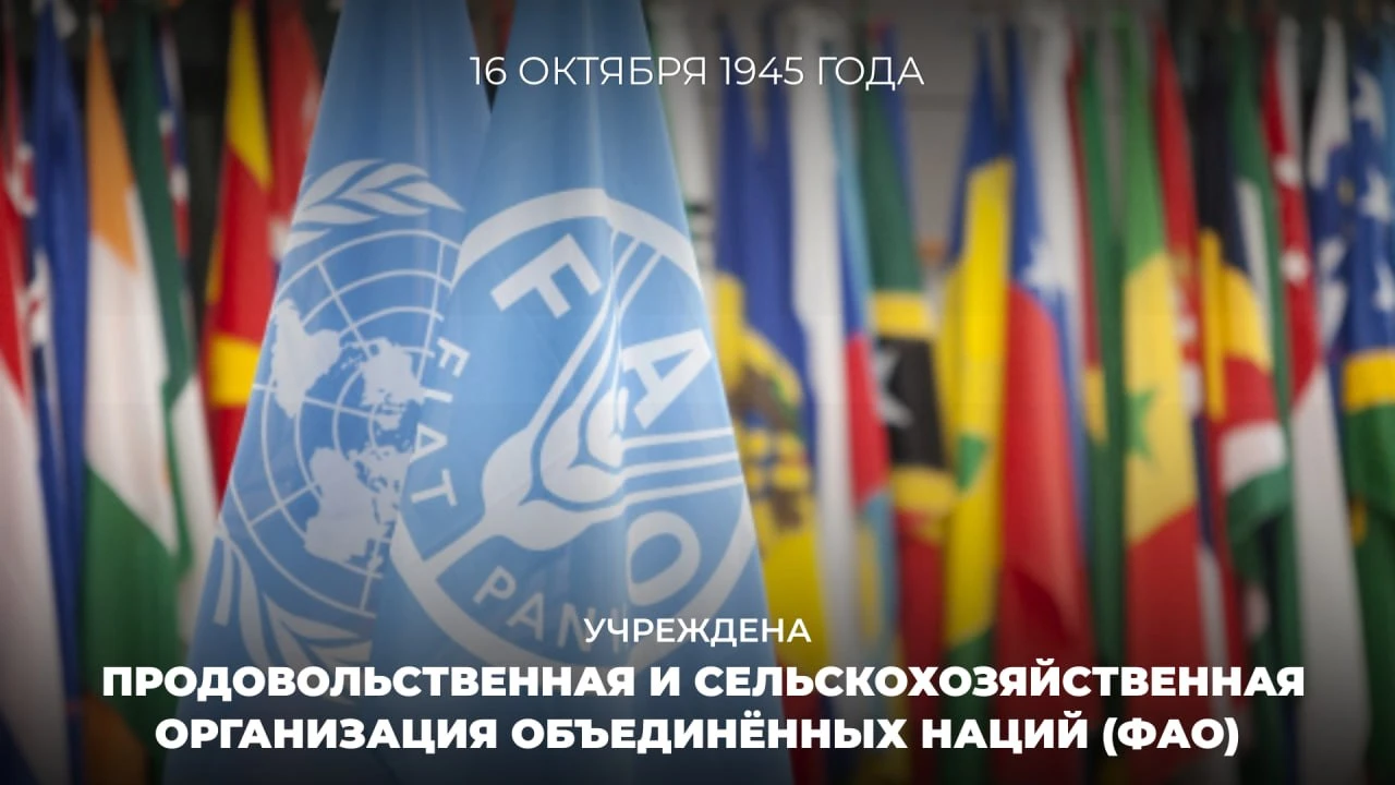 🇺🇳 16 октября 1945 года учреждена Продовольственная и сельскохозяйственная организаци...