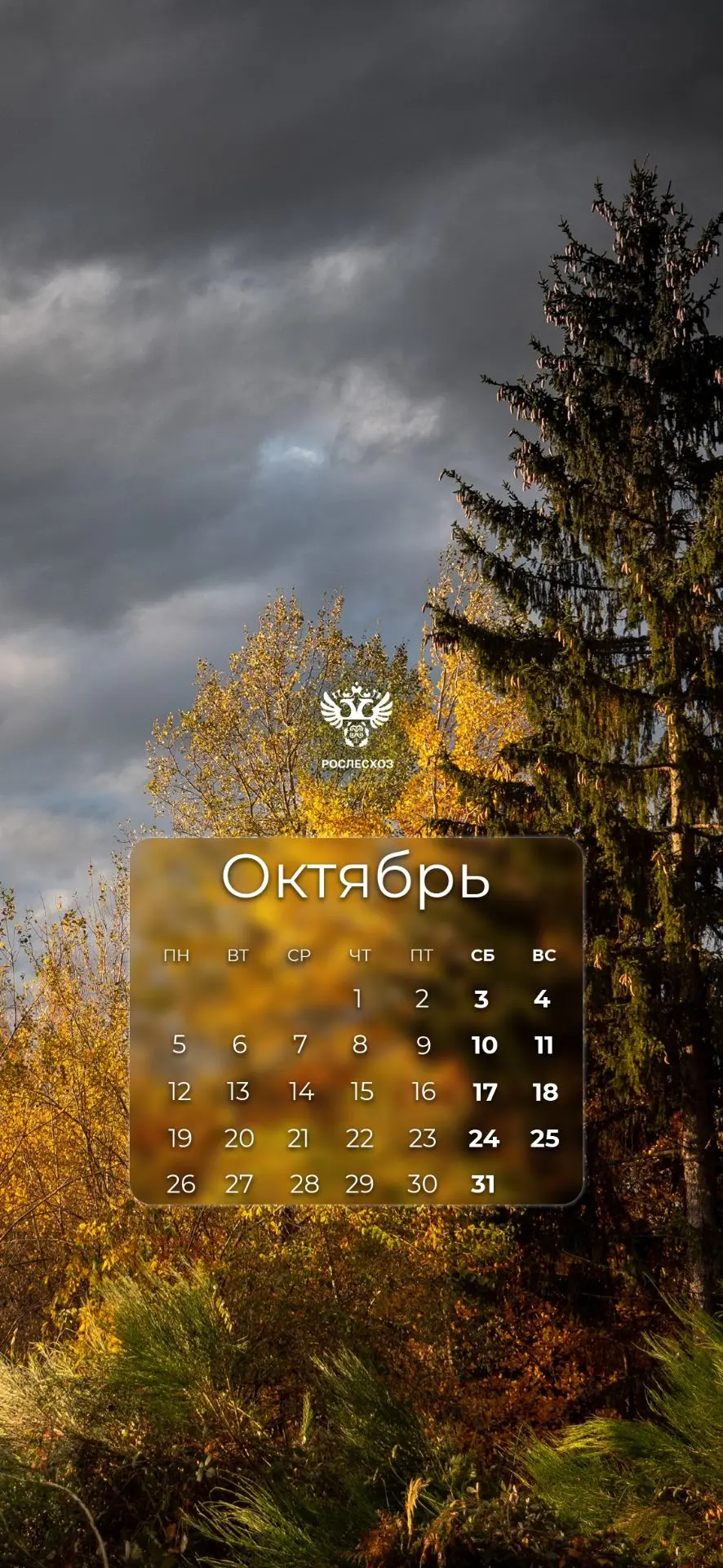 🍁Октябрь — второй месяц осени