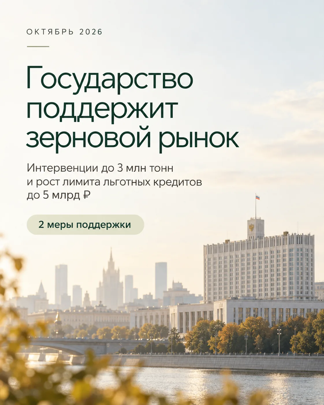 🏦 Государство готовит двойную поддержку зернового рынка