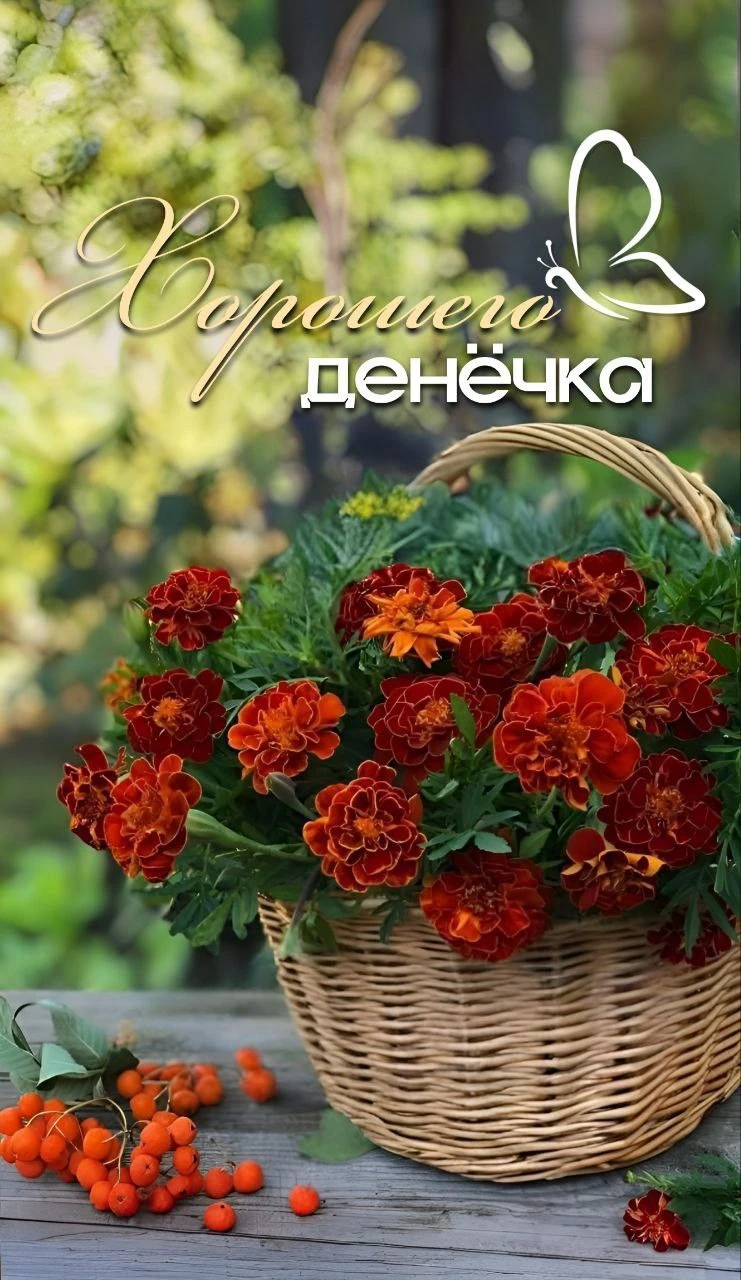 Подпишись 👇