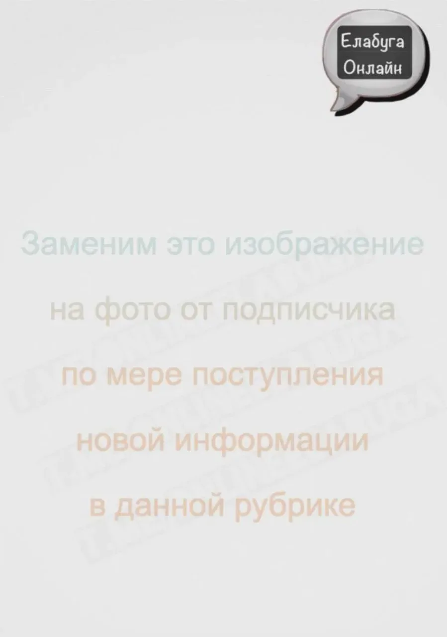 У Макдональдса бегает собака — возможно, потерялась