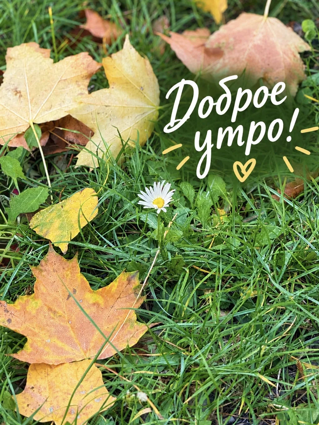 ☀️ Доброе утро!