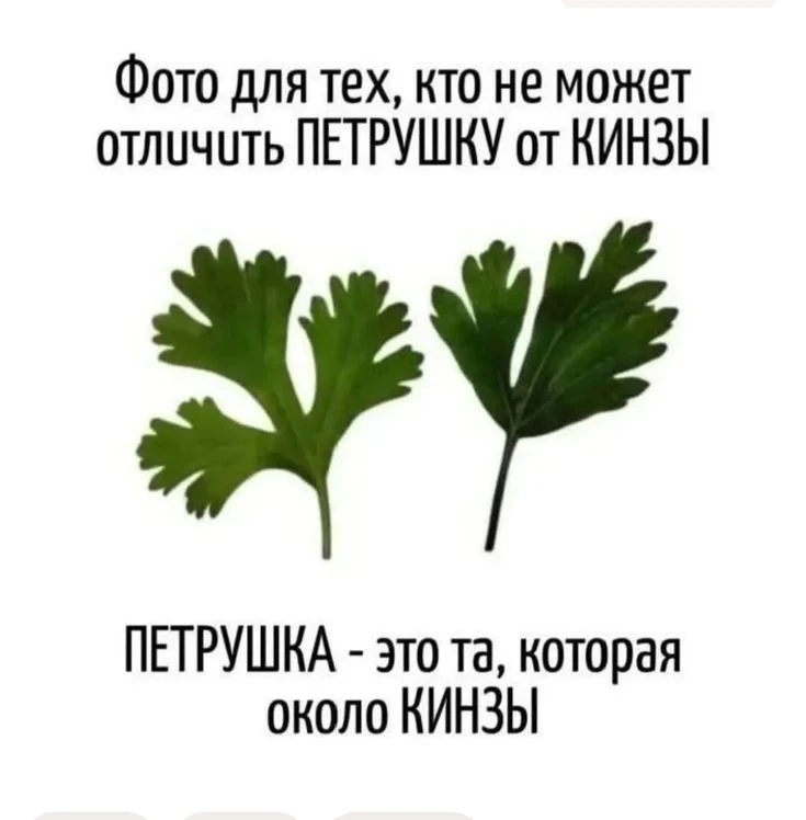 Подпишись, чтобы не потерять👇