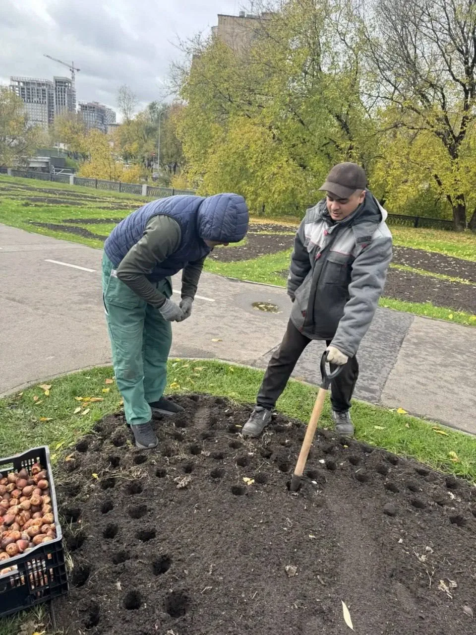 В парке Яуза приступили к осенней посадке луковичных растений. Всего планируется высади...