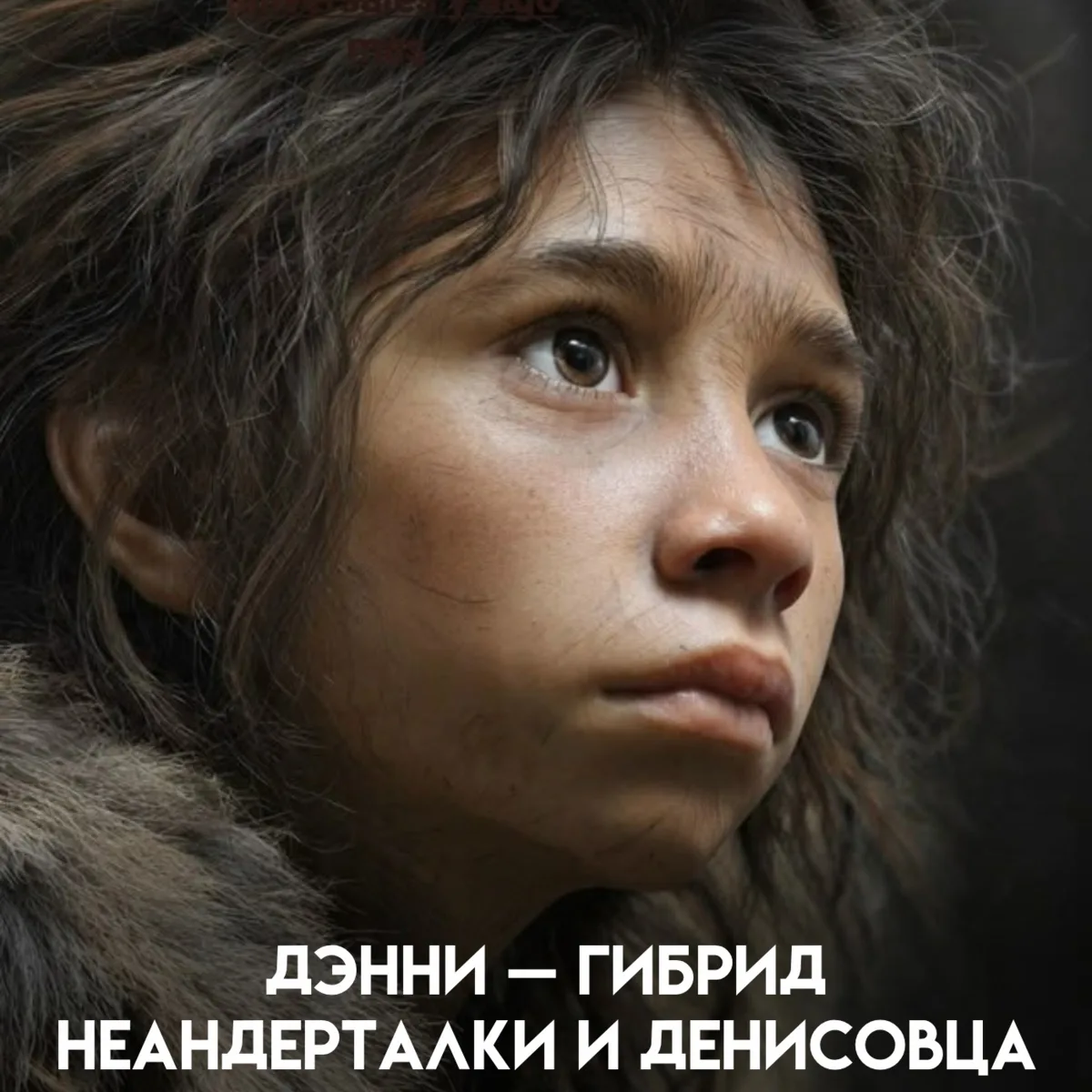 Неандертальцы и денисовцы разошлись более 400 тысяч лет назад, и до недавнего времени у...