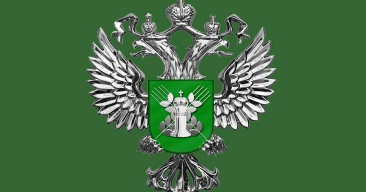 В Ростовской области заблокированы две фантомные площадки