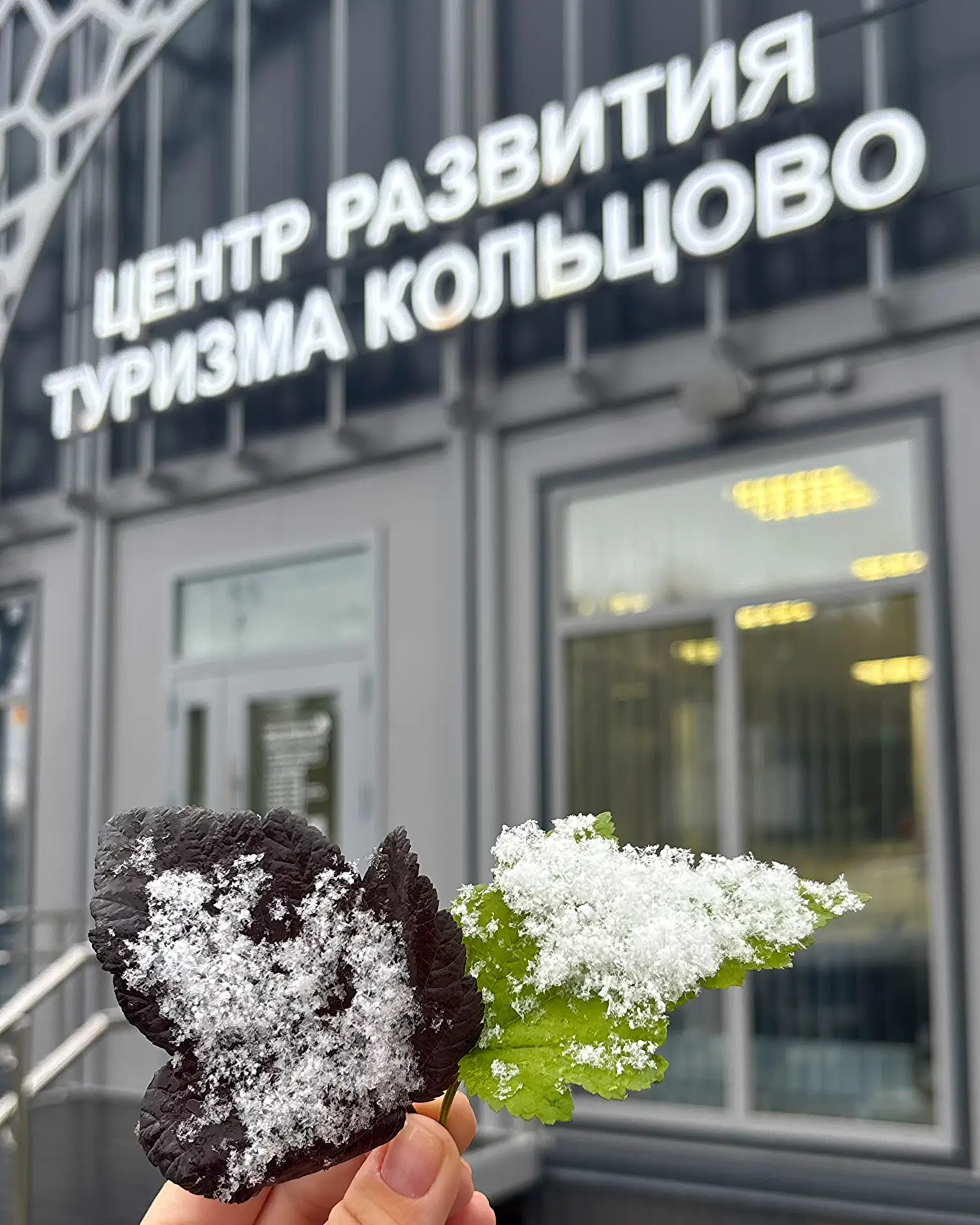 Снег в Кольцово 🤍 и будто всё вокруг замедлило ход. Зима близко.