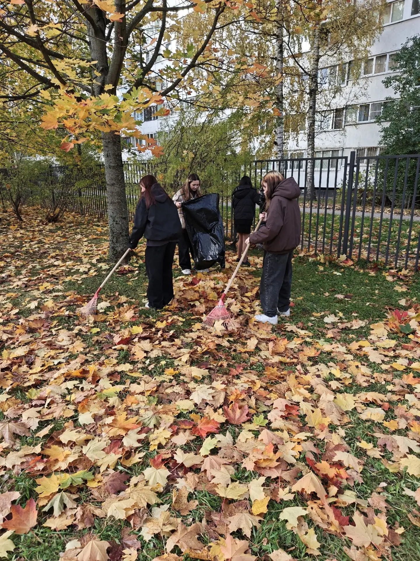 Субботник. 8а и 7б классы