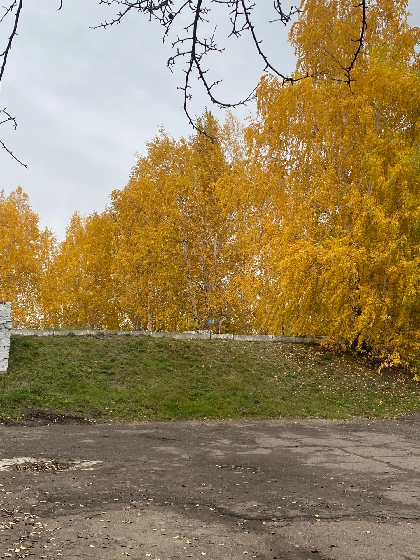 Осень 🍂