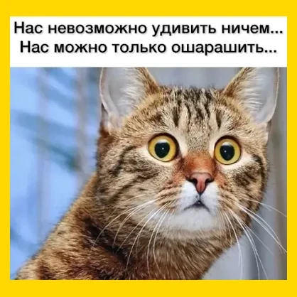 Полный Хохотамбл! Подпишись скорее