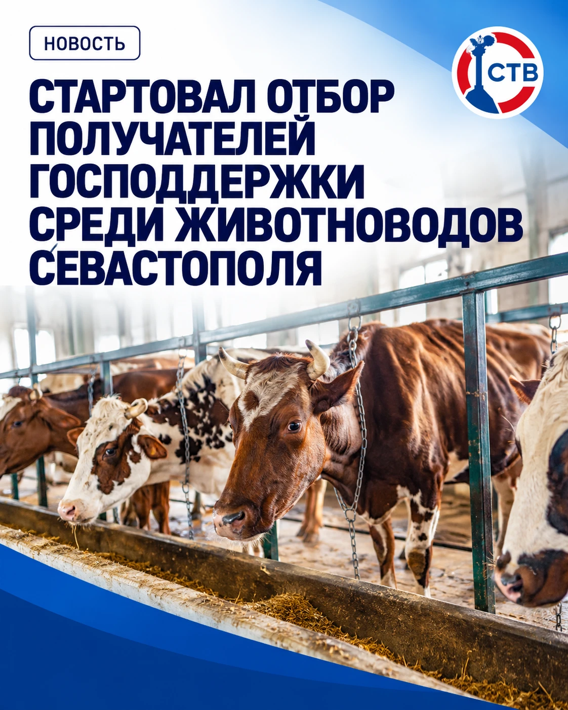 Севастопольские животноводы могут получить компенсацию расходов на развитие хозяйства