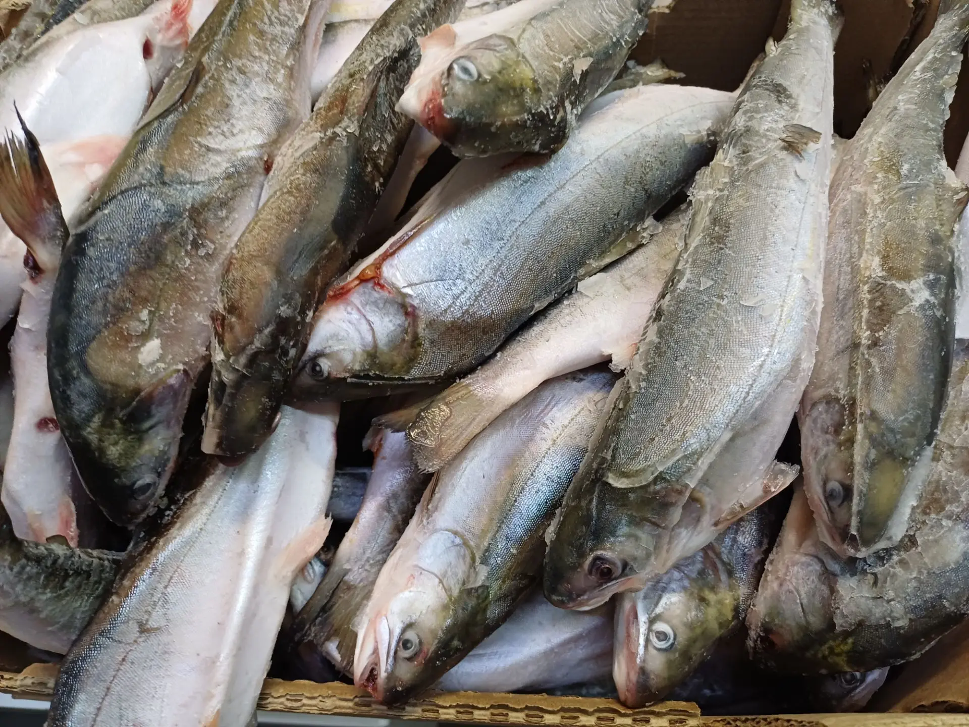 Фото