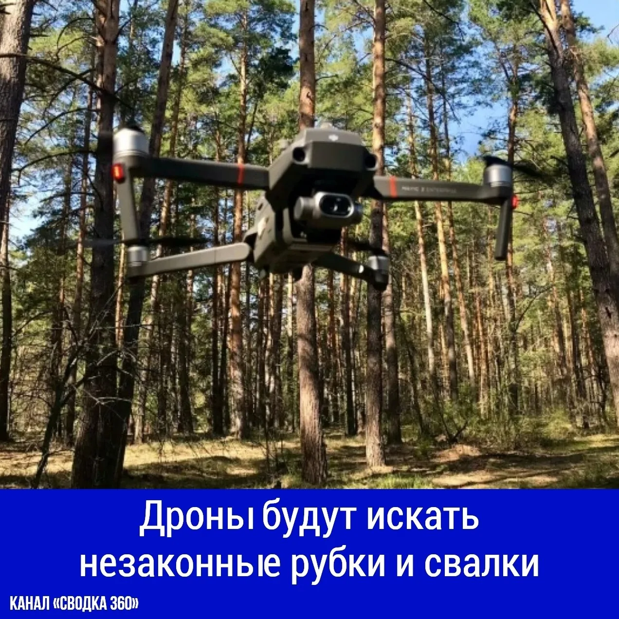 Дроны будут искать незаконные рубки и свалки.