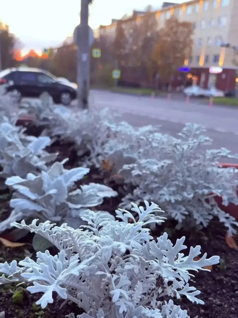 🌧️ Завтра погода готовит «осенний сюрприз»: днём в Апатитах — дождь и мокрый снег, +3…...