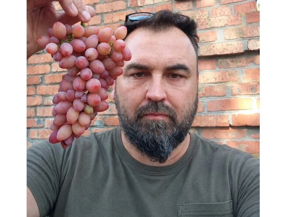 Житель Шахт вырастил 130 сортов винограда и поделился секретами виноградарства
