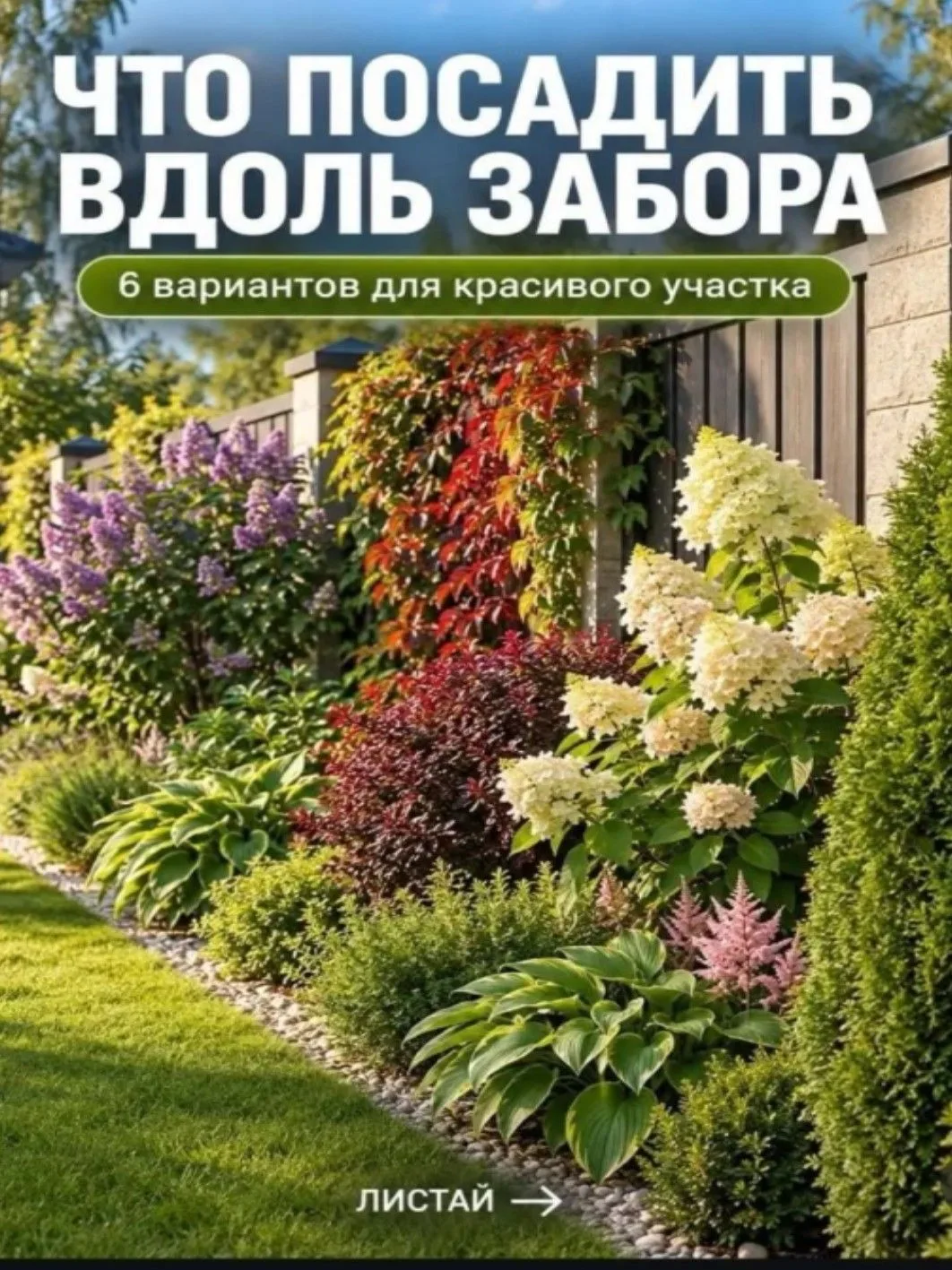 🌿 6 КОМПОЗИЦИЙ ВДОЛЬ ЗАБОРА: ТУЯ, ХОСТА С АСТИЛЬБОЙ, СИРЕНЬ, ДЕВИЧИЙ ВИНОГРАД, ГОРТЕНЗ...