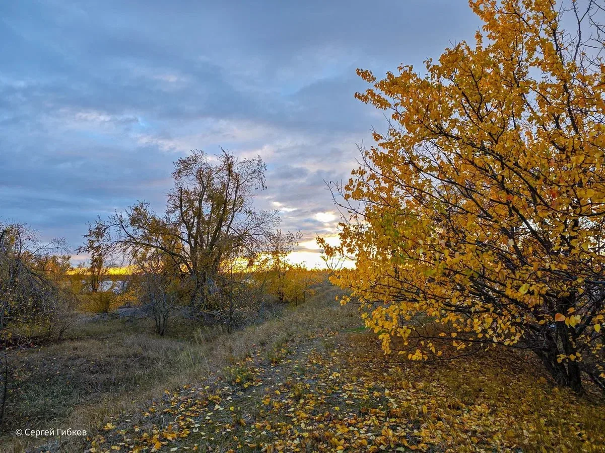Осень и разлука