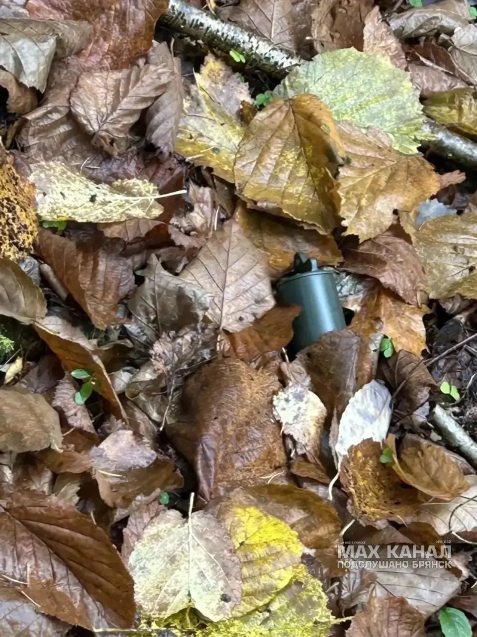 Оцепление установлено из-за сбросов с БПЛА в Дятьковском районе Брянской области - власти