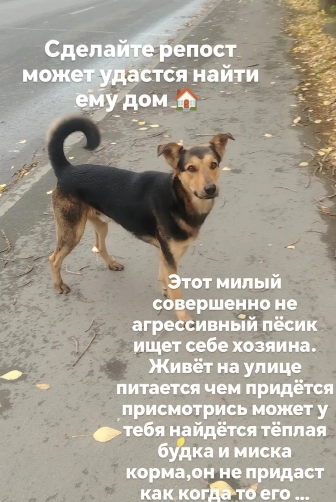 Разместите пожалуйста
