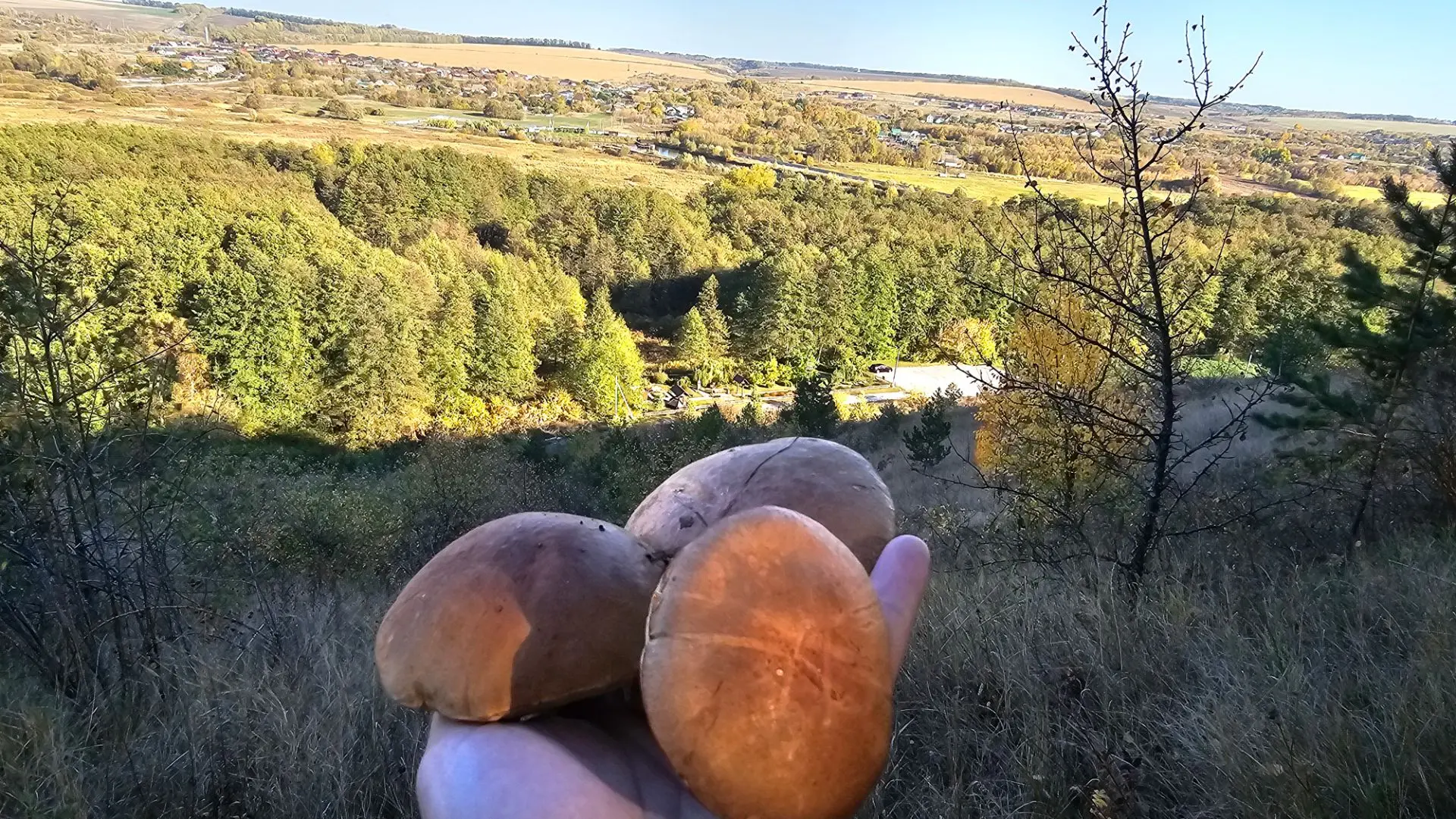 Доброе волшебное утро. Октябрь подарил нам ещё один замечательный день, Гидра скрепя се...