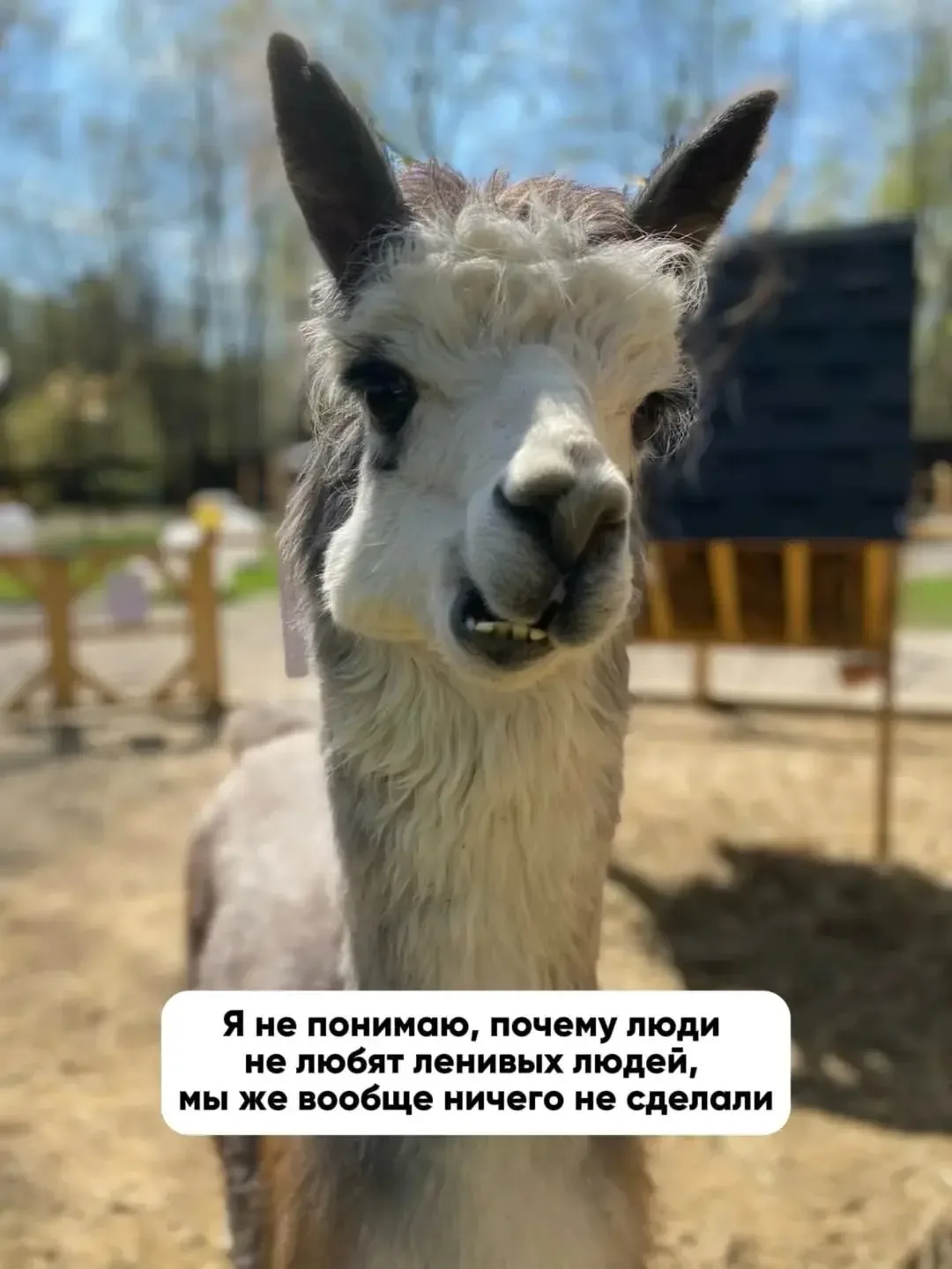 💐ЖИВАЯ СКАЗКА 💐