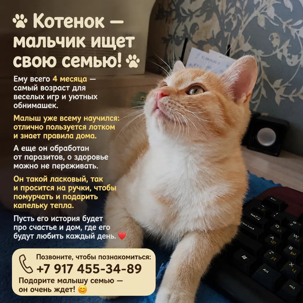 Очень просим: поставьте в статус. Иногда один репост — это шанс на жизнь для бездомного...