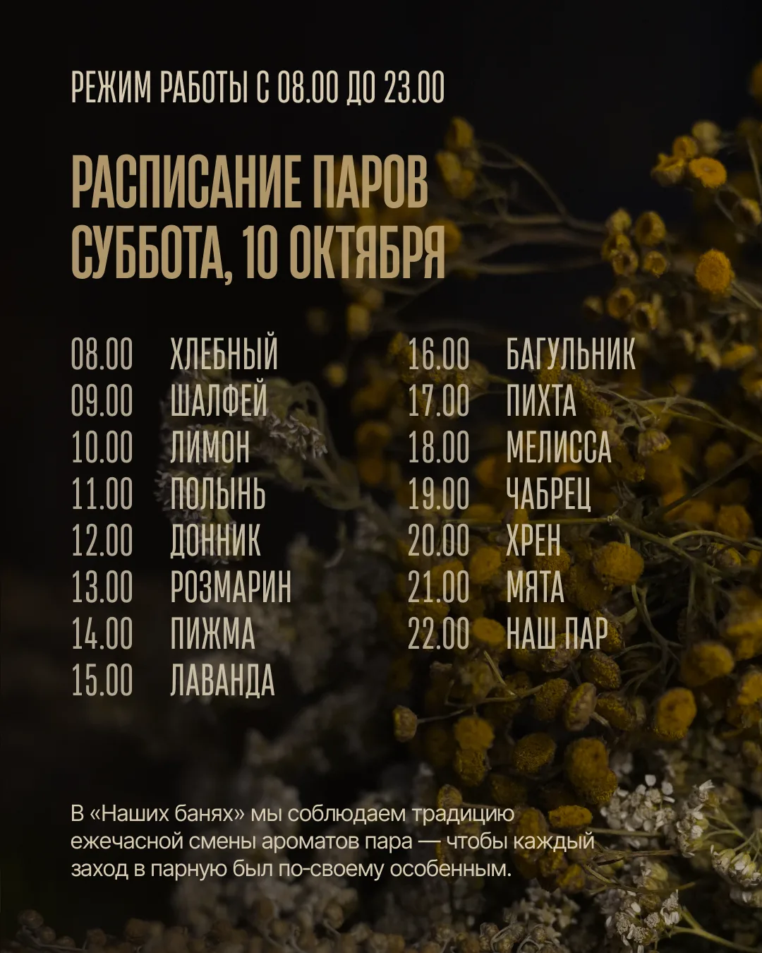Ждём вас на пар, дорогие друзья 🌿