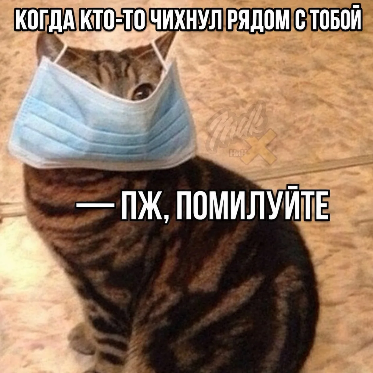 😷 Массовый рост заболеваемости гриппом А в Нижегородской области ожидается со второй п...