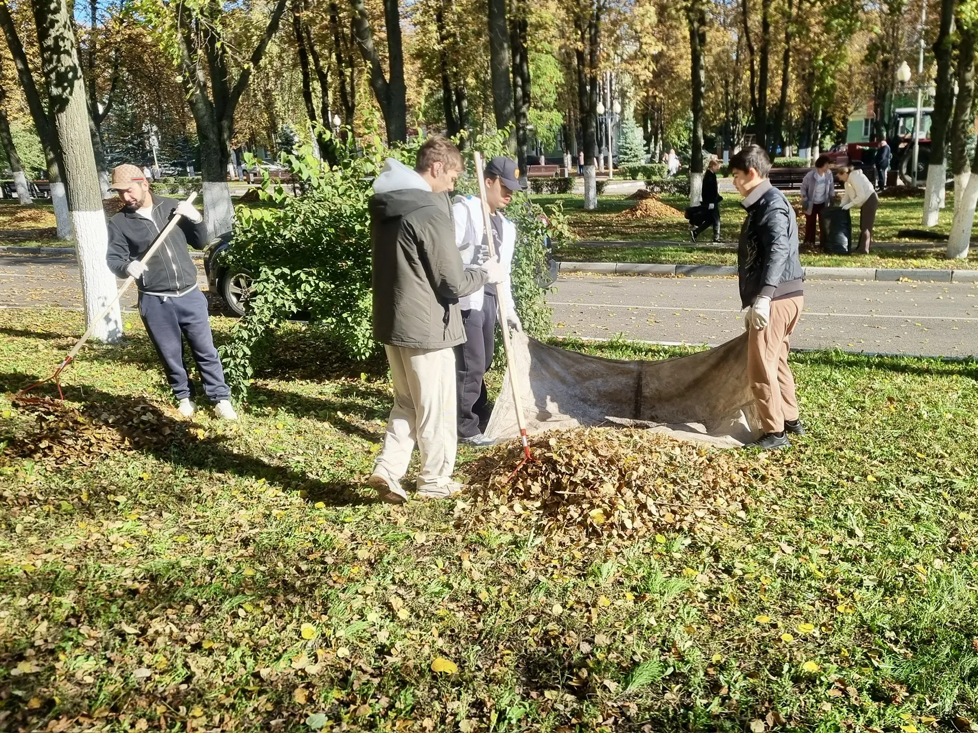 Экологический субботник в Дни добровольного служения: вместе делаем родной край чище! 🌿