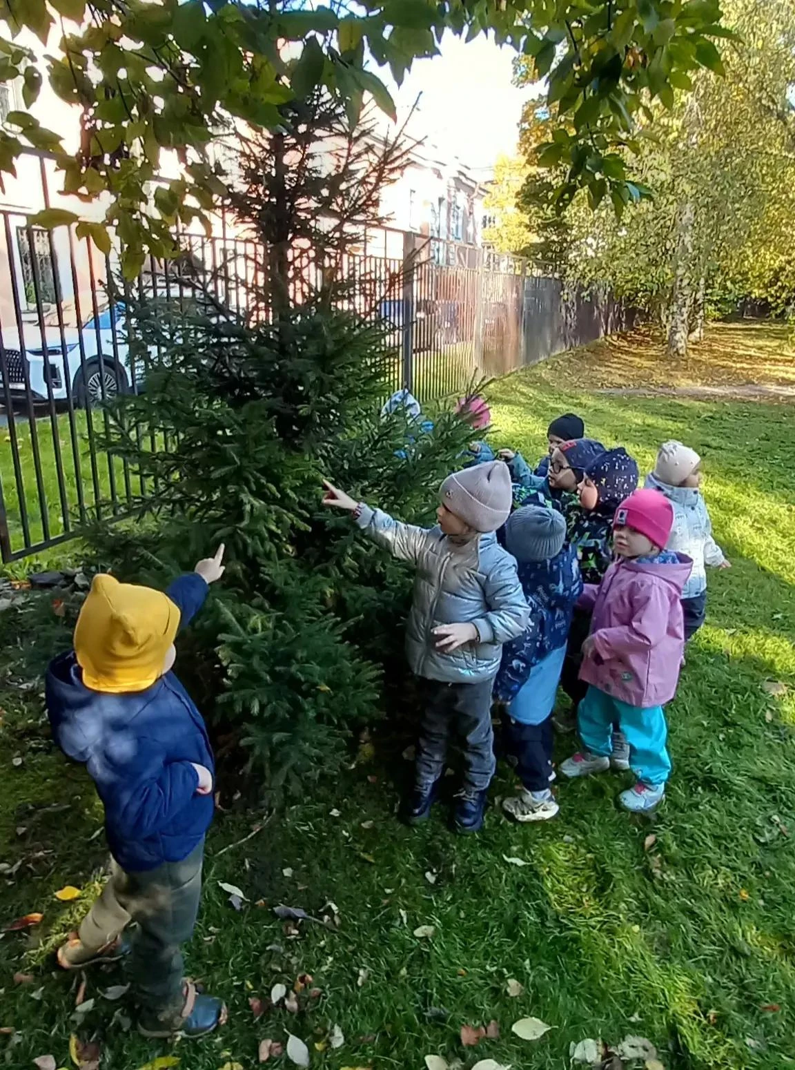 Если на деревьях листья пожелтели,